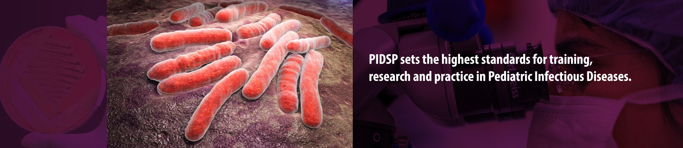 PIDSP : Pediatric Infectious Disease Society of the Philippines